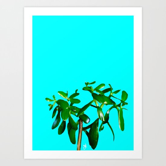 Good Luck Succulent Tree on Sky Blue Art Print