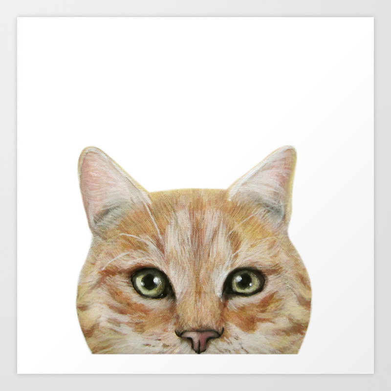 Golden British Shorthair America Shorthair Cat Acrylic
