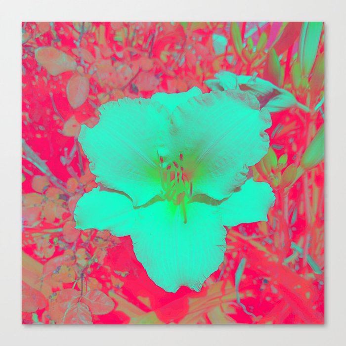Mint Hibiscus Flower Canvas Print