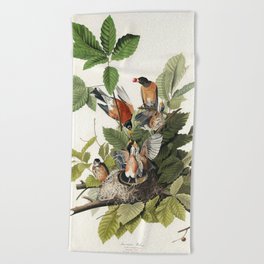 American Robin from Birds of America (1827) by John James Audubon  Beach Towel