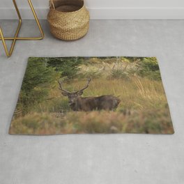 Red deer Rug | Nature, Ruttingseason, Hoerseljau, Digital, Color, Reddeer, Nationalpark, Antler, Animal, Deer 