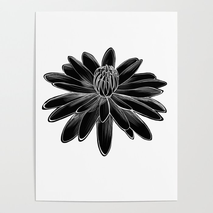 Linocut Night-Blooming Water Lily Poster