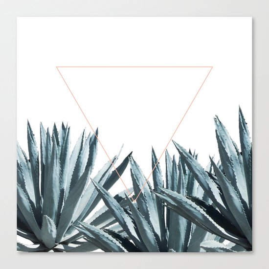 Agave Triangle Canvas Print
