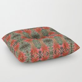 Aloe Vera  Floor Pillow
