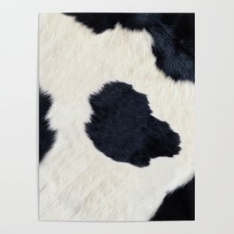 Black and White Cowhide Photography Poster