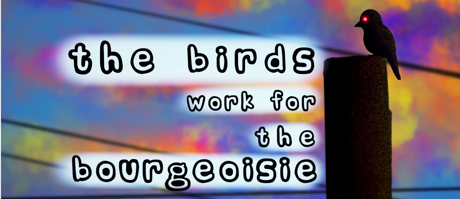 The Birds Work For The Bourgeoisie Meme Coffee Mug By Tori Lynn 15