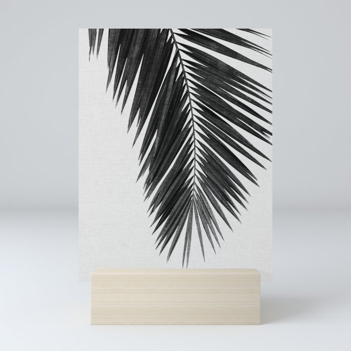 Palm Leaf Black & White I Mini Art Print
