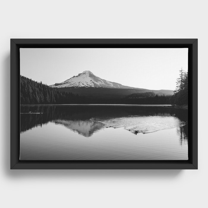 Framed Canvas