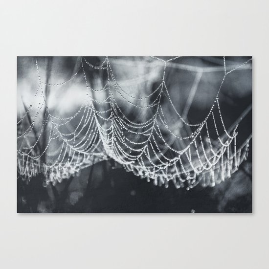 the weight of water Canvas Print