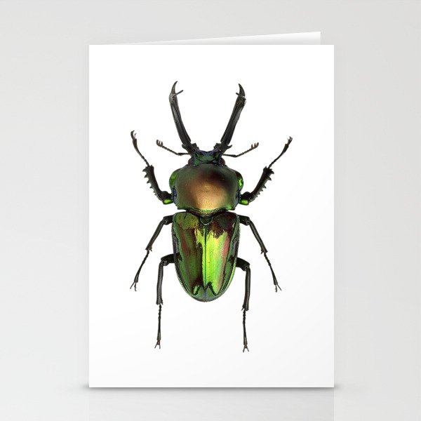 Rainbow Stag Beetle Stationery Cards