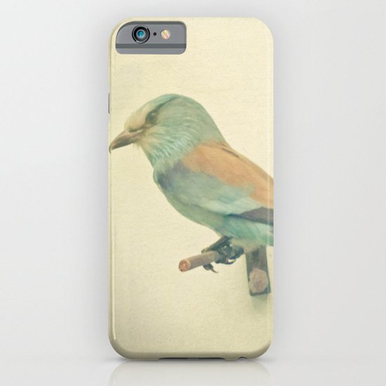 Bird Study #2 iPhone & iPod Case