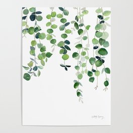 Eucalyptus Watercolor 2  Poster