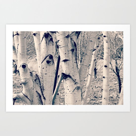 Forest Scene Art Print