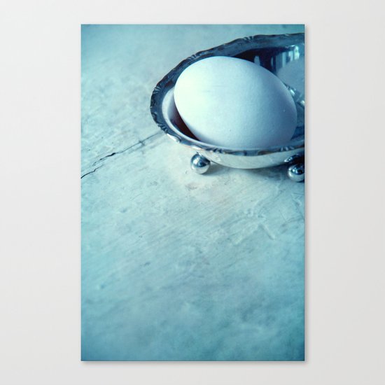 white egg Canvas Print