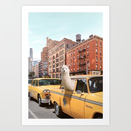 Alpaca in New York Art Print