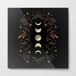 Moonlight Garden - Winter Brown Metal Print