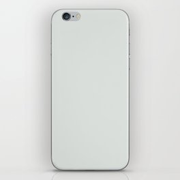 Pale Cool Gray - Grey Solid Color Pairs PPG Icy Bay PPG1012-1 - All One Single Shade Hue Colour iPhone Skin