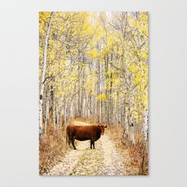 Cow in aspens Canvas Print