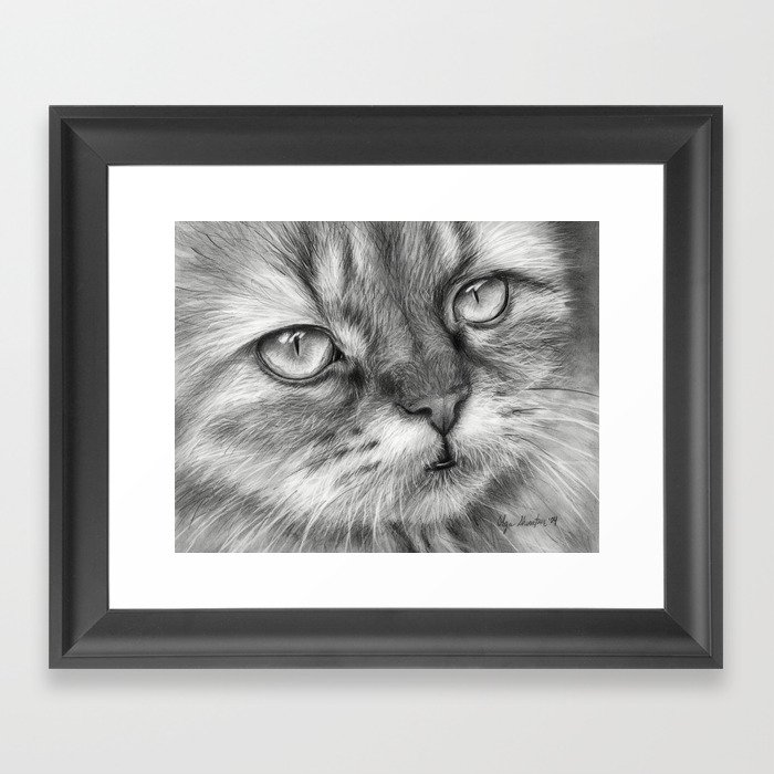 Cat Drawing Framed Art Print
