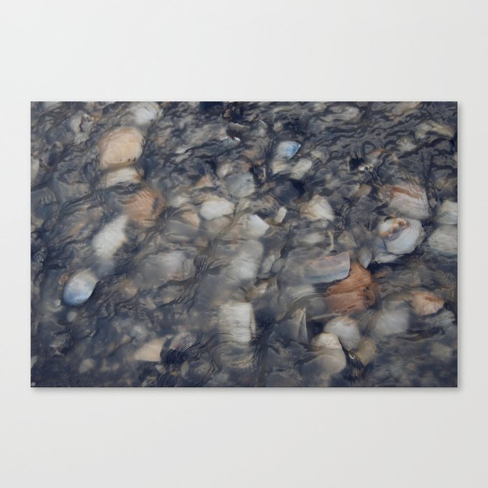 River Pebbles Canvas Print