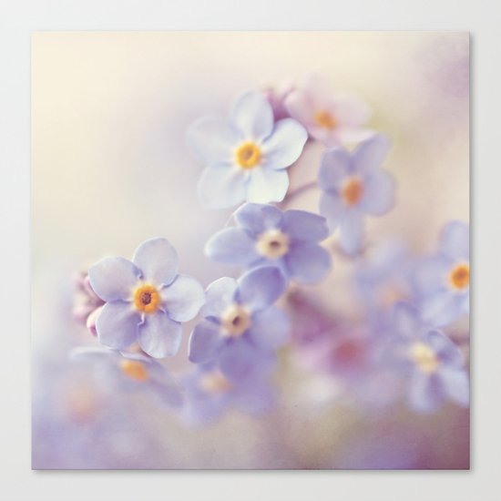 spring fever Canvas Print