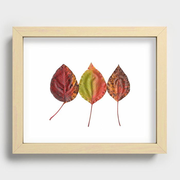 Fal Leaves Mother Nature Recessed Framed Print