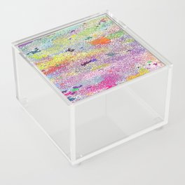 Colorful Acrylic Box