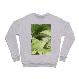 Palm Tree Leaf Crewneck Sweatshirt