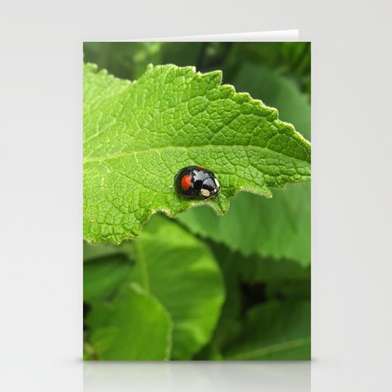 black ladybug I Stationery Cards