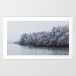 Frosty Trees by the Water Art Print
