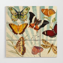 Butterflies Dragonflies and Moths Wood Wall Art