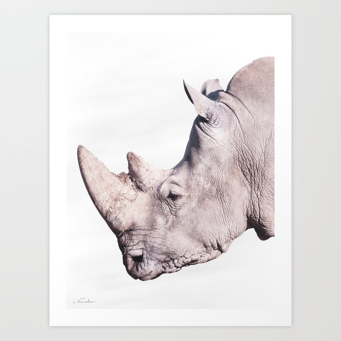 White Rhino Art Print by Kanelov | Society6