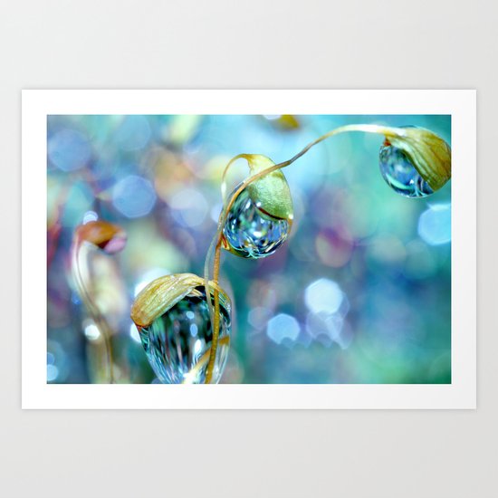 Rainbow Moss Drops Art Print