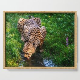 Oil painting thirsty cheetah Serving Tray