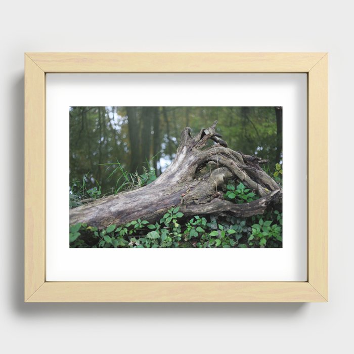 Reflecting Emotions  Recessed Framed Print