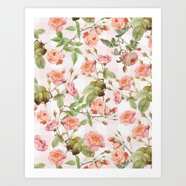 Vintage & Shabby Chic - Pastel Summer Roses Botanical Flower Garden On Pink Gingham  Art Print