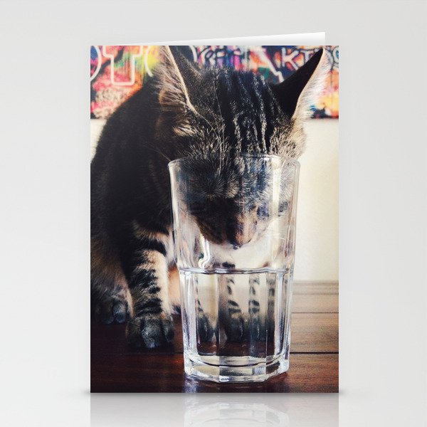 drinking cat Stationery Cards
