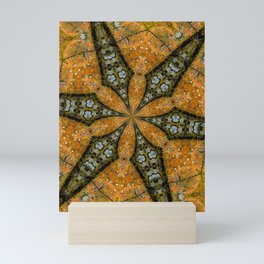 Kaleidoscope - Lichen on Post Mini Art Print
