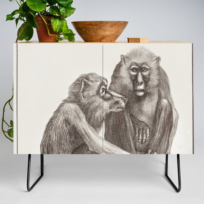 Monkey couple illustration Credenza