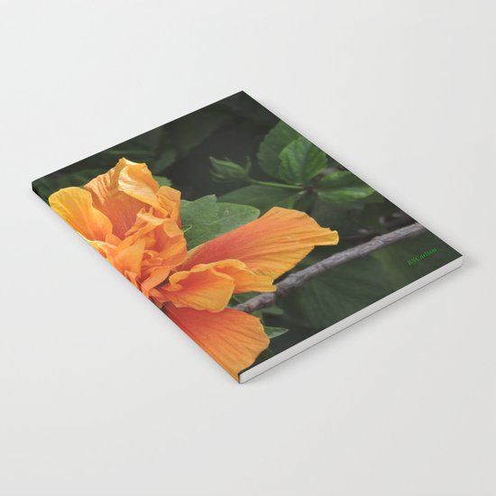 The Golden Double Hibiscus Next Door Notebook