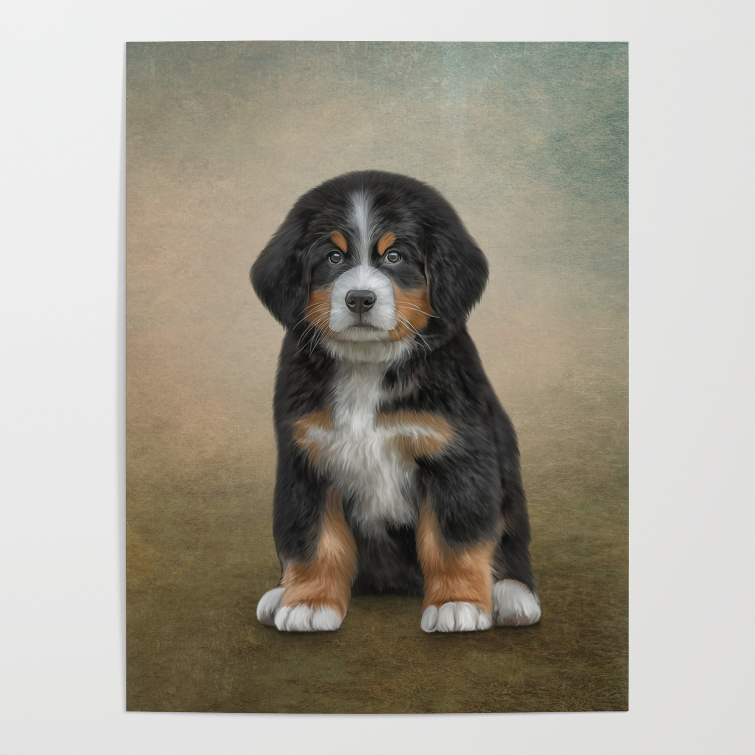Drawing Puppy Bernese Mountain Dog Poster By Bonidog Society6 They are the only one that possesses long, flowing fur and their personality is second to none. drawing puppy bernese mountain dog poster by bonidog