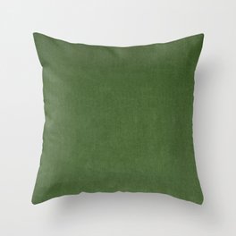 Sage Green Velvet texture Throw Pillow