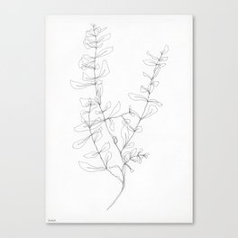 Esther Olive Branch Canvas Print