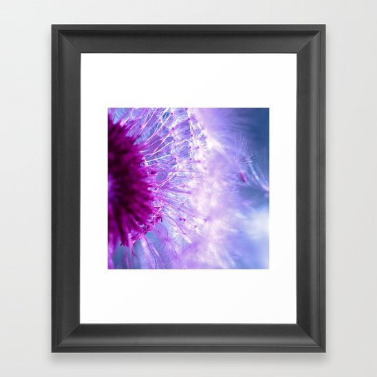 purple dandelion II Framed Art Print