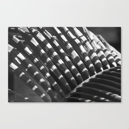 Palm - leave shadow Canvas Print