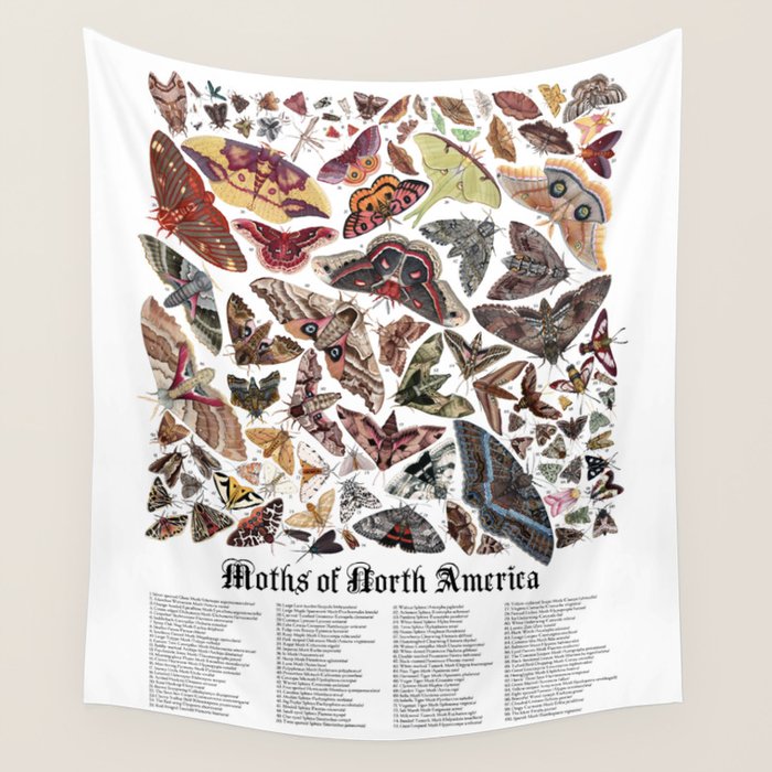Moths of North America Wall Tapestry by jadafitch Society6