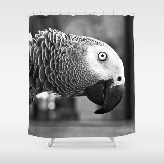 Pretty Bird Shower Curtain