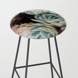 California Potted Succulents Bar Stool