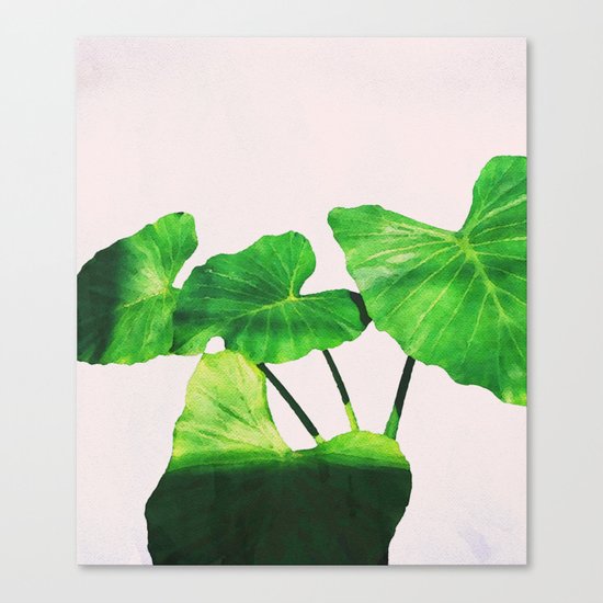 Taro Dimensionality #society6 #decor #buyart Canvas Print