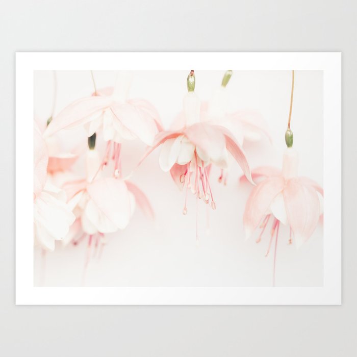 Flower photography - Fuchsia - Pink Pastel floral print Art Print